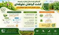 گام های بلند استان زنجان در توسعه کشت گیاهان علوفه ای